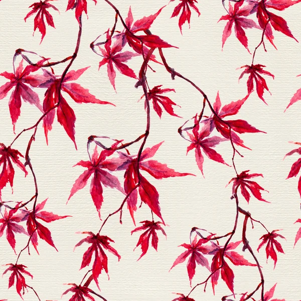 Осенние китайские листья красного клена. Бесшовный шаблон. Акварель — стоковое фото