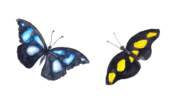 Exotické motýly. Akvarel — Stock fotografie