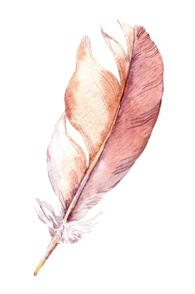 Watercolor feather of bird — Stock Photo, Image