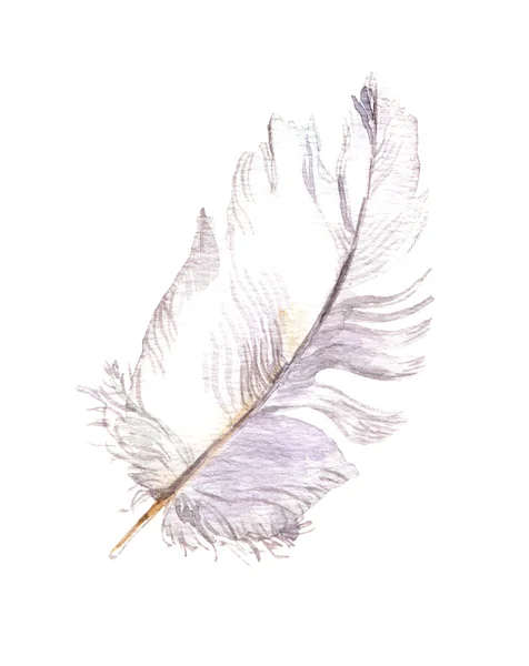 White feather. Watercolor — Stock Photo, Image