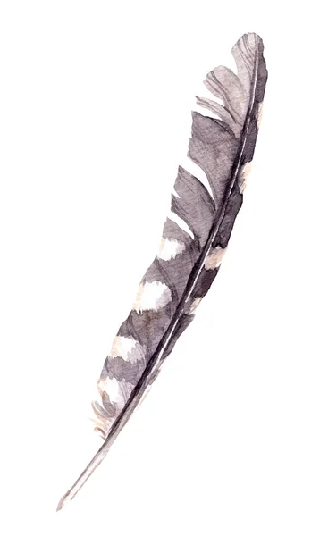 Watercolor feather of bird — Stock Photo, Image