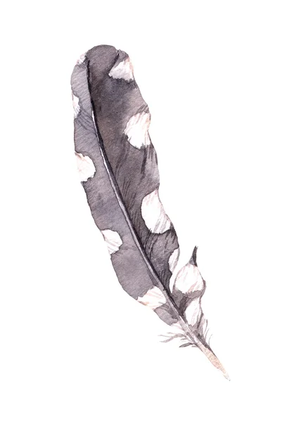 Watercolor feather of bird — Stock Photo, Image