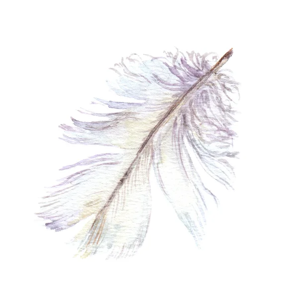 Watercolor white feather — Stock Photo, Image