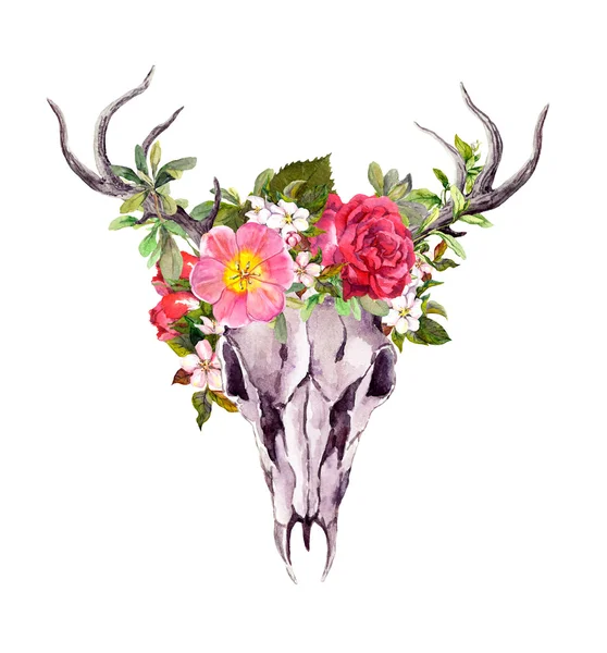 Crâne de cerf avec des fleurs. Aquarelle — Photo