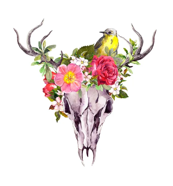 Crânio de animal de veado com flores e pássaro. Aquarela — Fotografia de Stock