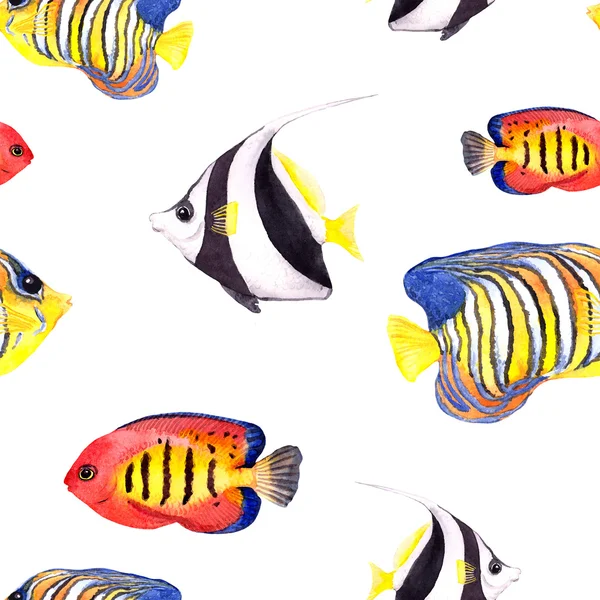 Des poissons tropicaux. Modèle répété sans couture. Aquarelle — Photo