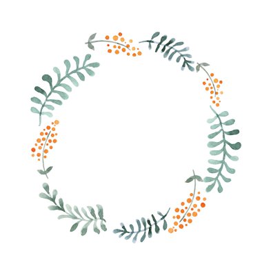 Şirin çelenk - yaprakları ve meyveleri. Naive suluboya