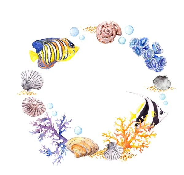 Sea shell, coral, sand. Summer beach wreath border. Watercolor — Stock Photo, Image