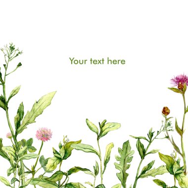 Suluboya yaz kartpostal ile çayır çimen