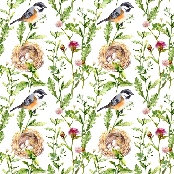 Pattern with herbs, bird and nest. Seamless watercolor — Stock Photo, Image