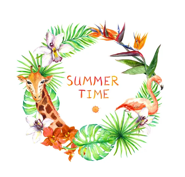 Tropické listy, exotické plameňáků, žirafa, květy orchidejí. Věnec snímek. Akvarel — Stock fotografie