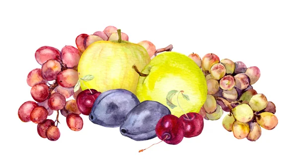 Fruits aquarelle : pomme, raisin, cerise, prune. Aquarelle — Photo