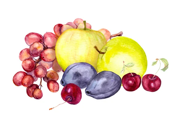 Aquarellfrüchte: Apfel, Traube, Kirsche, Pflaume. Aquarellzeichnung — Stockfoto