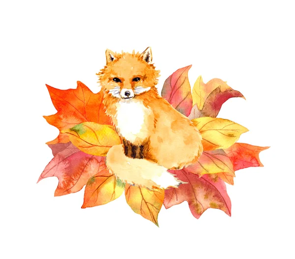 Cute fox in autumn leaves. Watercolor — Stock Photo, Image