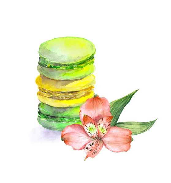 Makaróny a květin. Akvarel — Stock fotografie