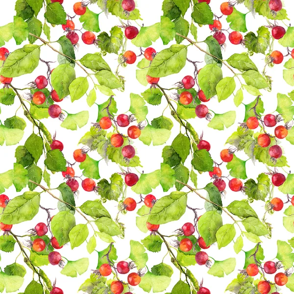 Зелене листя та ягоди. Безшовні візерунки. Акварель — стокове фото