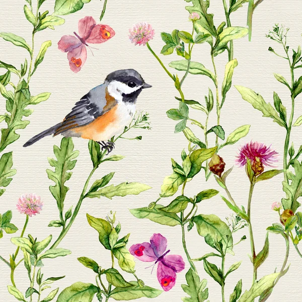 Meadow herbs, flowers, butterflies, bird. Repeated herbal pattern. Watercolor — Stock Photo, Image