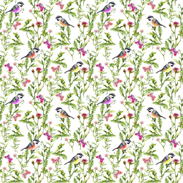 Summer herbs, butterflies and bird. Seamless watercolor pattern — Stock Photo, Image