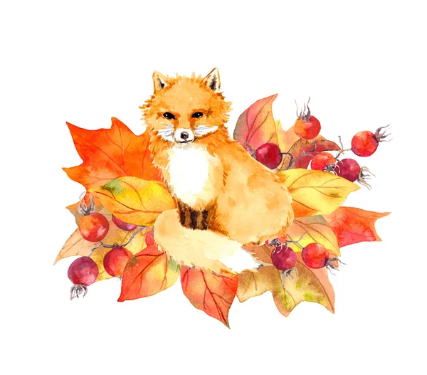 Cute fox in autumn leaves and berries. Watercolor — Stock Photo, Image