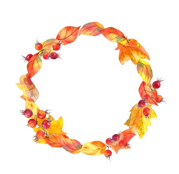 Folhas vermelhas e bagas. A coroa de outono. Moldura círculo aquarela — Fotografia de Stock