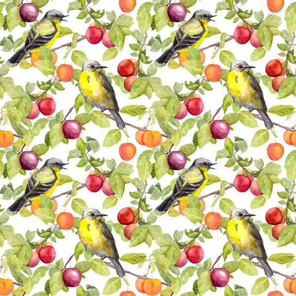 Frukt och fåglar - plommon, körsbär, äpplen. Seamless mönster. Akvarell — Stockfoto