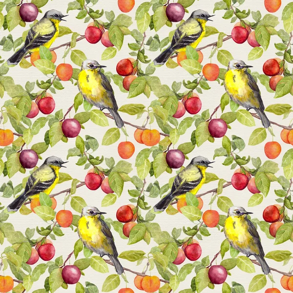 Frutas, pássaros - jardim com ameixa, cereja, maçãs. Padrão sem costura. Aquarela — Fotografia de Stock