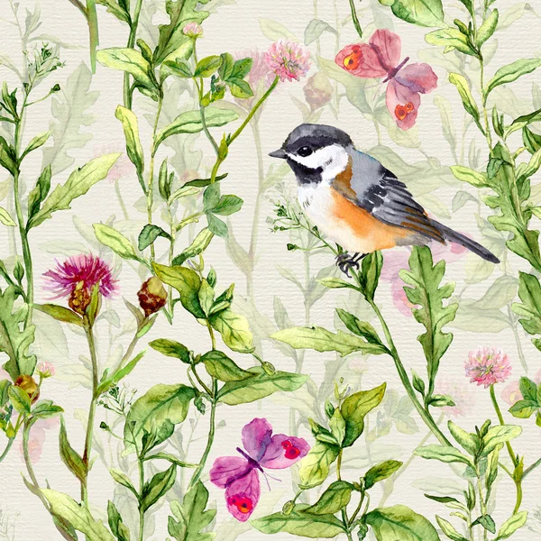 Kleiner Vogel, Frühlingswiesengras, Blumen, Schmetterlinge. sich wiederholendes Muster. Aquarell — Stockfoto