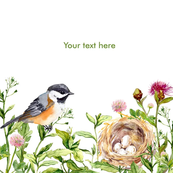 Ευχετήρια κάρτα με άγρια βότανα, πουλιών και φωλιά. Ακουαρέλα — Φωτογραφία Αρχείου