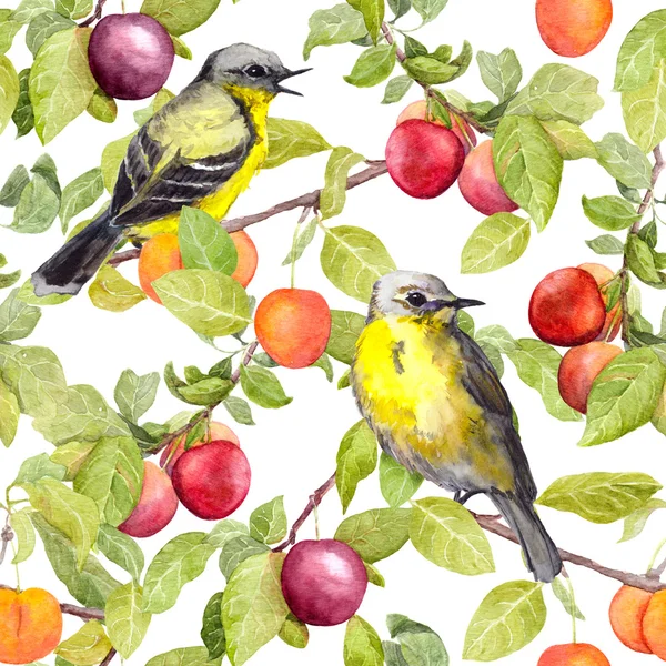 Fruits, birds - garden with plum, cherry, apples. Seamless pattern. Watercolor — Stock Photo, Image