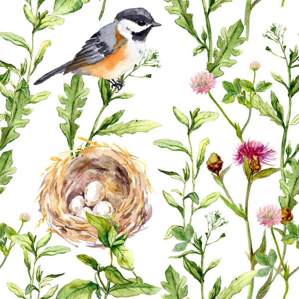 Patroon met kruiden, vogel en nest. Naadloze aquarel — Stockfoto