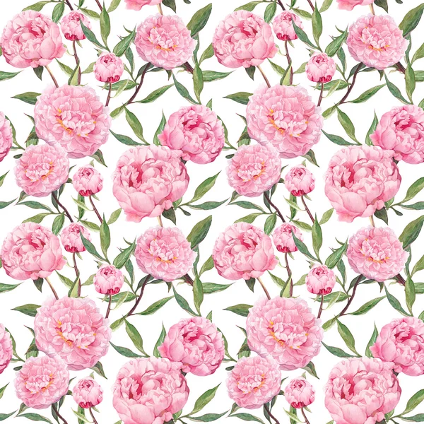 Pion rosa blommor. Upprepande blommönster. Akvarell — Stockfoto
