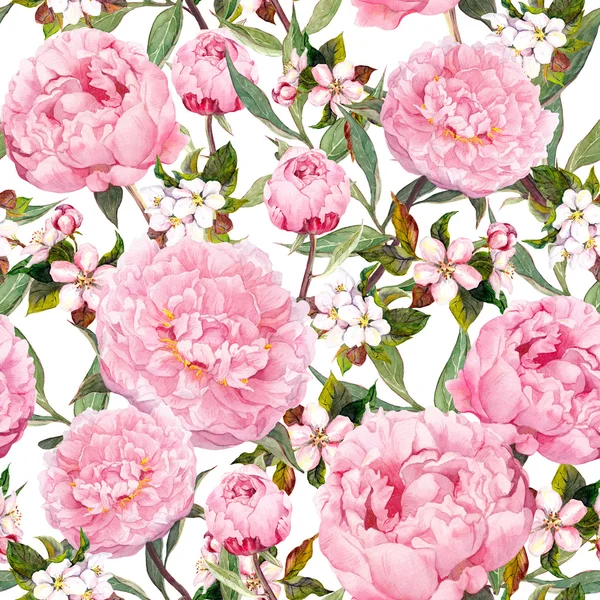 Flores de peonía, sakura. Fondo floral sin costuras. Acuarela —  Fotos de Stock
