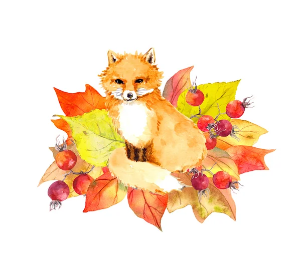 Cute fox in autumn leaves and berries. Watercolor — Stock Photo, Image