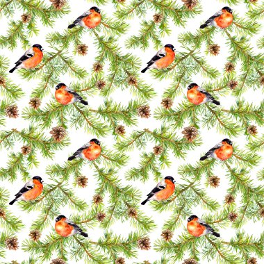 Noel ağacının dalları itibariyle kış kuşlar. Seamless modeli. Suluboya