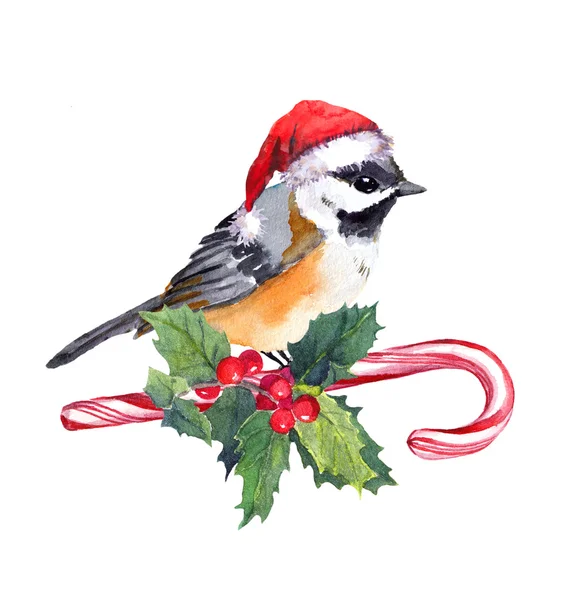 Uccello di Natale in cappello su bastoncino di zucchero con vischio. Acquerello — Foto Stock