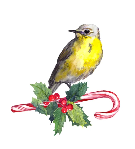 Weihnachtsvogel mit roter Weihnachtsmütze auf Zuckerrohr. Aquarell — Stockfoto