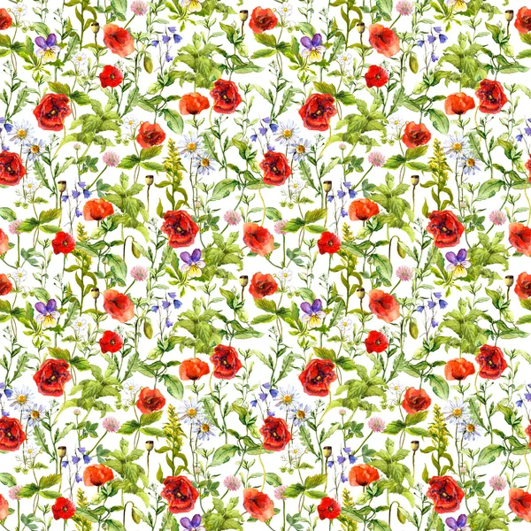 Sommerblumen Mohn, Kamille, Gras. nahtloses Muster. Aquarell — Stockfoto