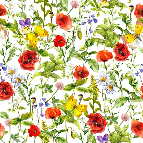 Summer flowers poppies, chamomile, grass. Seamless pattern. Watercolor — Stock Photo, Image