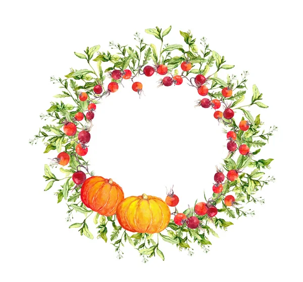 La corona de Acción de Gracias - las calabazas, las bayas, las hojas otoñales. Borde redondo acuarela —  Fotos de Stock