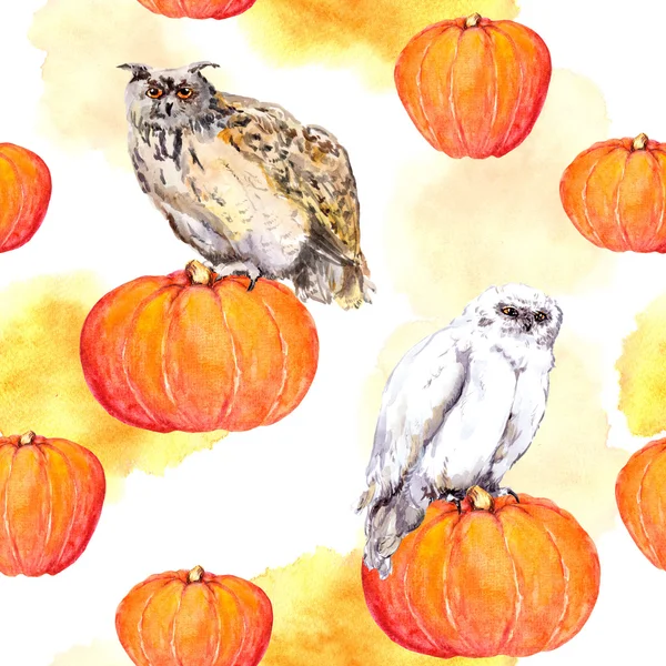 Owl on pumpkin. Halloween watercolor repeating pattern — Stock Photo, Image