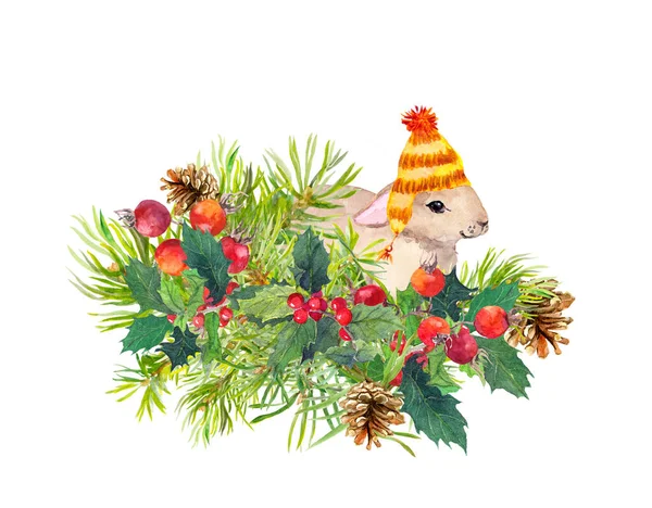 Coelho de inverno, flores, pinheiros, visco. Aquarela de Natal para cartão de saudação com animal bonito — Fotografia de Stock