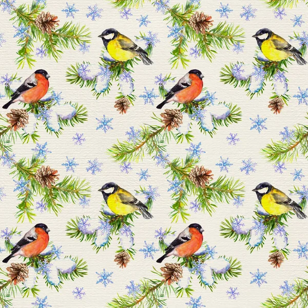 Cute birds, christmas tree twigs, snowflakes. Seamless pattern. Winter watercolor in vintage style — Stock Photo, Image