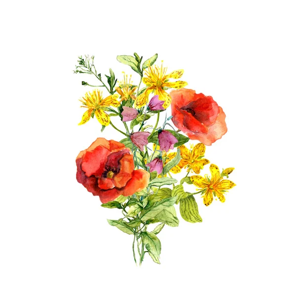 Buquê floral, flores silvestres papoilas, hypericum, grama. Ilustração botânica aquarela — Fotografia de Stock