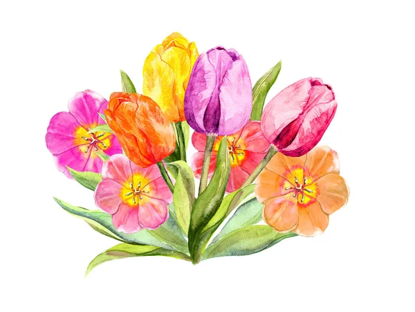 Ramo de flores de tulipán. Ilustración floral acuarela — Foto de Stock