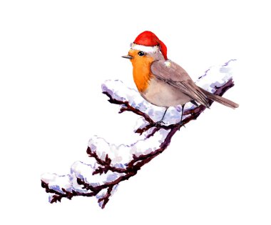 Kırmızı Noel Baba şapkalı Robin Bird karlı. Kış suluboya