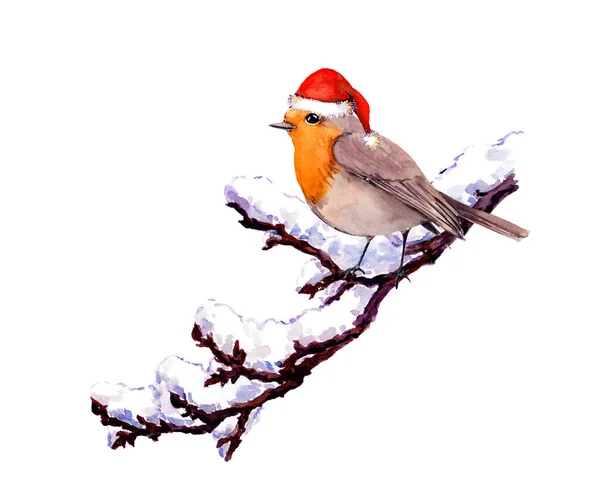 雪と赤いサンタの帽子の枝にロビン鳥。冬の水彩 — ストック写真