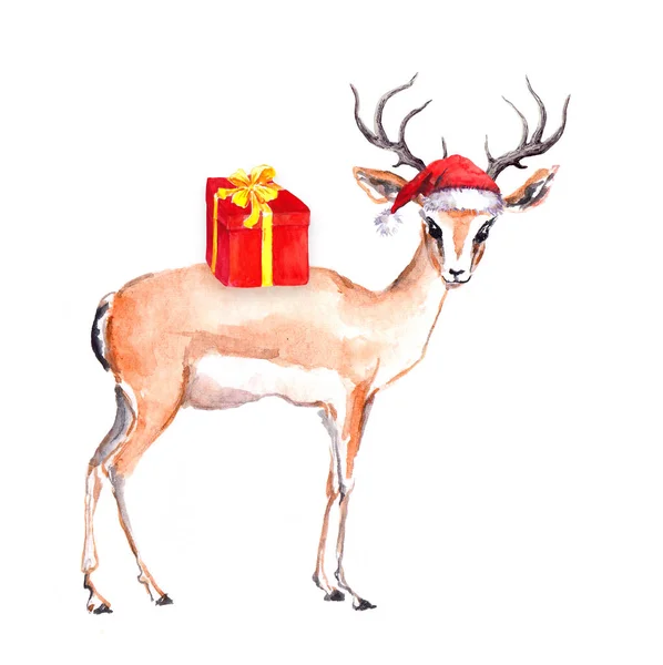 Mignon cerf de Noël animal en chapeau de Père Noël rouge. Aquarelle — Photo