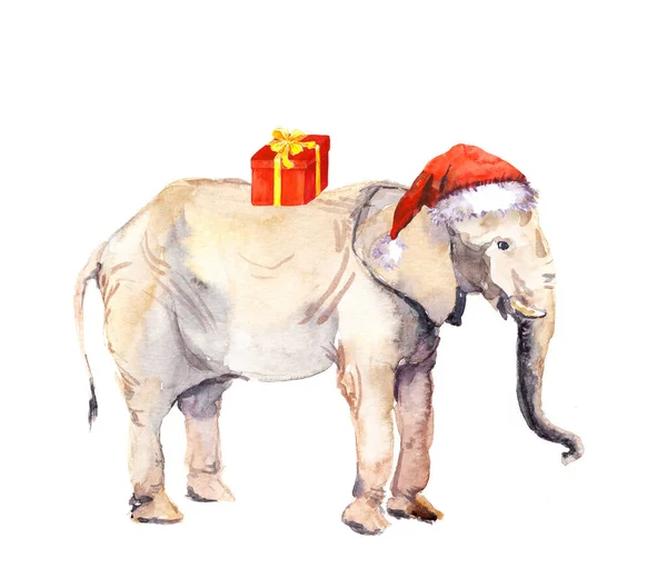 Lindo elefante de año nuevo en sombrero de santas rojas con caja de regalo roja. Acuarela navidad animal — Foto de Stock