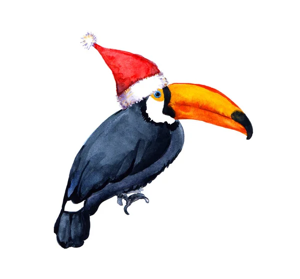 Kırmızı Noel Baba şapkalı Toucan kuşu. Tropik Noel için alışılmadık bir kart. Suluboya kartı — Stok fotoğraf