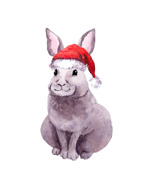 Hewan kelinci dengan topi santa. Warna air Natal — Stok Foto